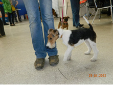 ����������� 022.jpg