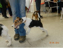 ����������� 023.jpg