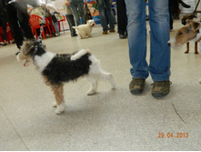 ����������� 024.jpg