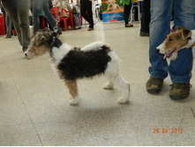 ����������� 025.jpg