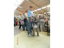 ����������� 027.jpg