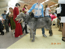 ����������� 028.jpg