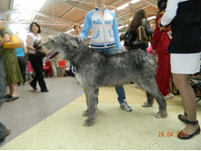 ����������� 029.jpg