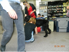 ����������� 030.jpg