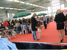 ����������� 031.jpg