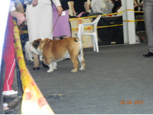 ����������� 033.jpg