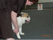 ����������� 038.jpg