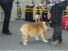 ����������� 039.jpg