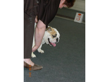 ����������� 040.jpg