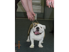 ����������� 042.jpg