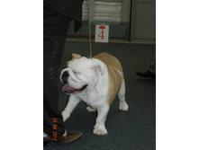 ����������� 043.jpg