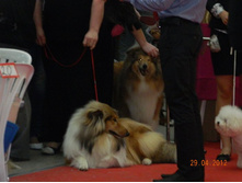 ����������� 044.jpg