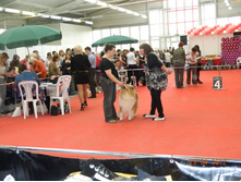 ����������� 045.jpg