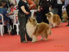 ����������� 047.jpg