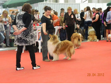 ����������� 048.jpg