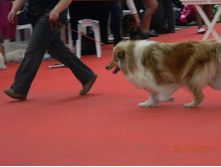 ����������� 050.jpg