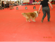 ����������� 052.jpg