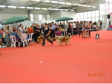 ����������� 053.jpg