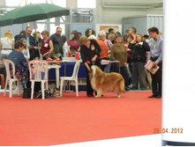 ����������� 054.jpg