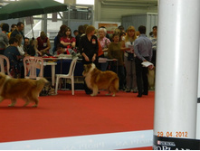 ����������� 055.jpg