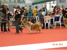 ����������� 056.jpg