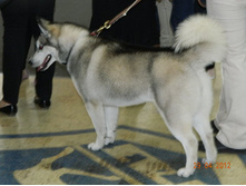 ����������� 057.jpg