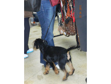 ����������� 058.jpg