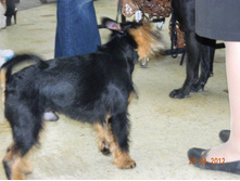 ����������� 059.jpg