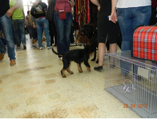 ����������� 061.jpg