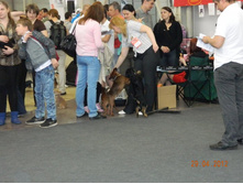 ����������� 062.jpg