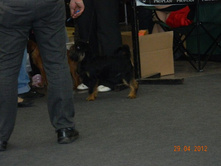 ����������� 064.jpg