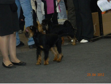 ����������� 065.jpg