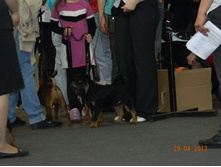 ����������� 066.jpg