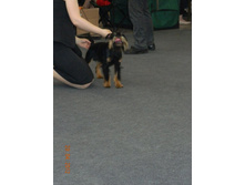 ����������� 068.jpg