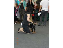 ����������� 069.jpg