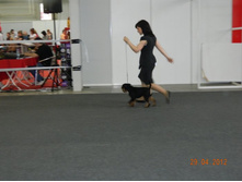 ����������� 070.jpg