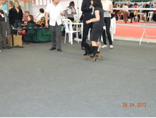 ����������� 072.jpg