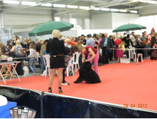 ����������� 075.jpg