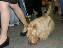 ����������� 076.jpg