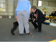 ����������� 077.jpg