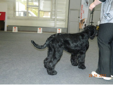 ����������� 082.jpg