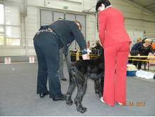 ����������� 086.jpg