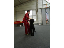 ����������� 089.jpg