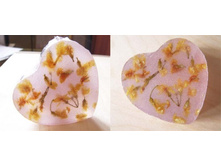 "���������� ����"