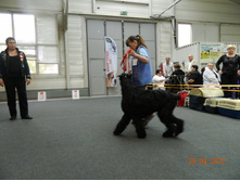 ����������� 094.jpg