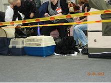 ����������� 095.jpg