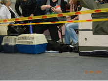 ����������� 096.jpg