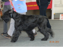 ����������� 097.jpg