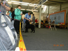 ����������� 102.jpg