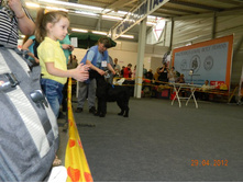 ����������� 103.jpg